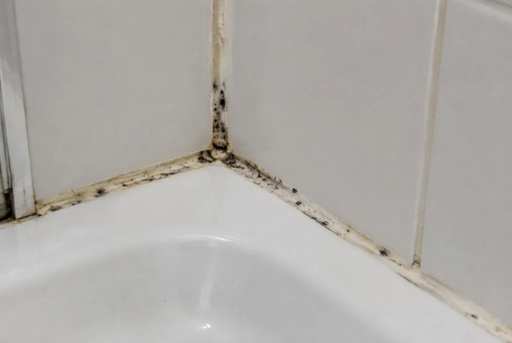 Kitbedrijf Buren – beschimmelde kitranden